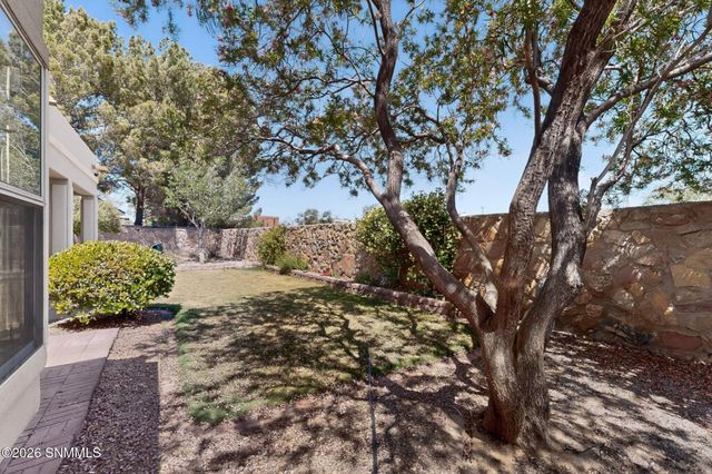 664 Cielo Bonito Court, Las Cruces, NM 88005