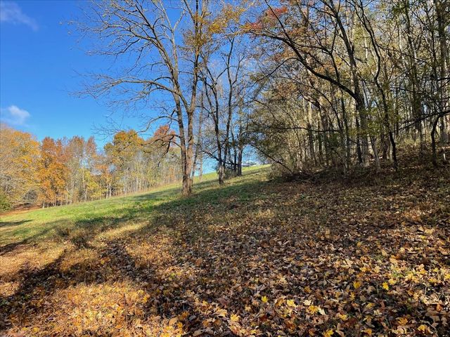 954 Molino Rd, Fayetteville, TN 37334