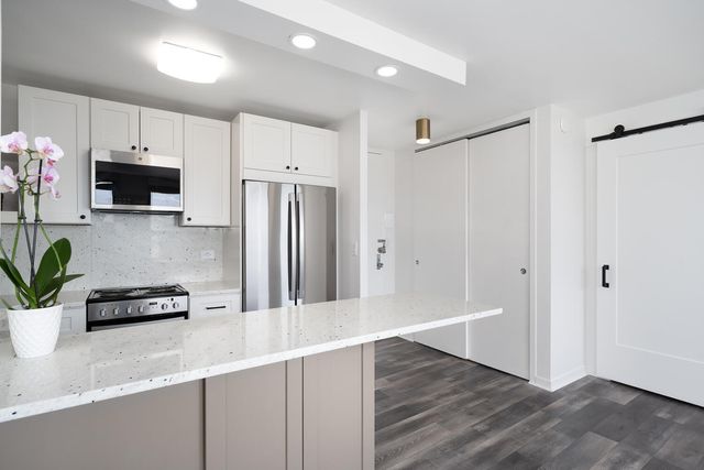 2626 N Lakeview Street 2106, Chicago, IL 60614