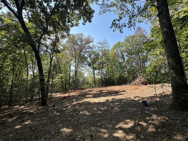 TBD Sawyer Ridge Lane, Hayesville, NC 28904