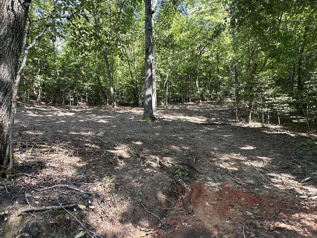 TBD Sawyer Ridge Lane, Hayesville, NC 28904
