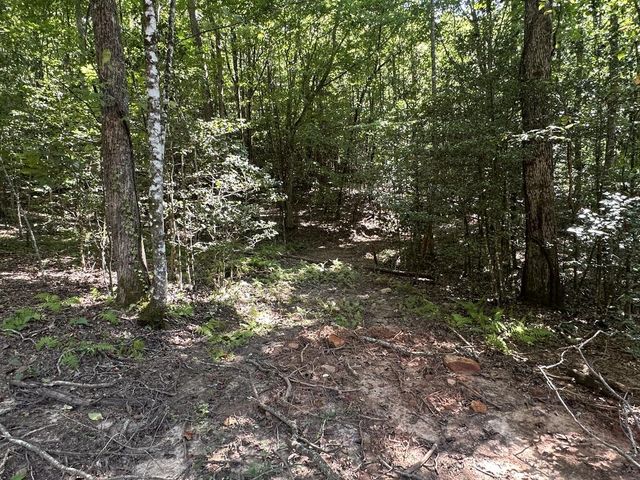 TBD Sawyer Ridge Lane, Hayesville, NC 28904