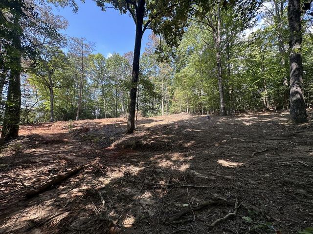 TBD Sawyer Ridge Lane, Hayesville, NC 28904