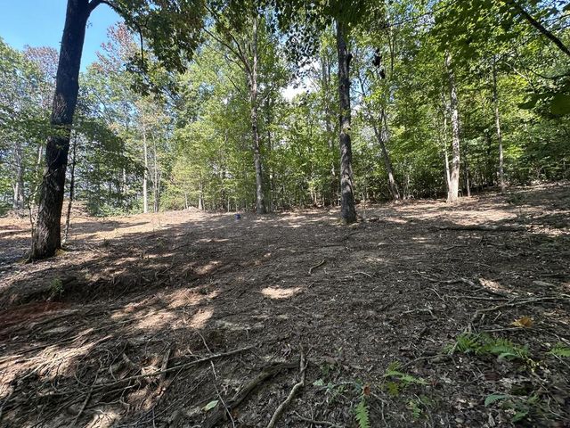TBD Sawyer Ridge Lane, Hayesville, NC 28904