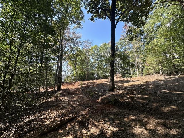 TBD Sawyer Ridge Lane, Hayesville, NC 28904