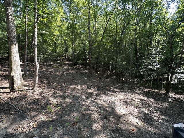 TBD Sawyer Ridge Lane, Hayesville, NC 28904