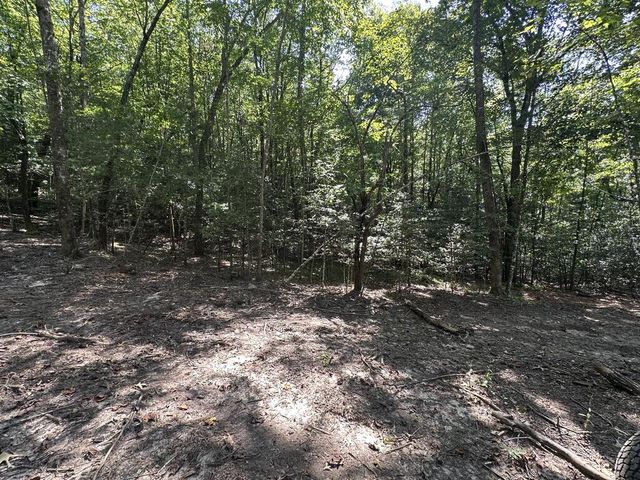 TBD Sawyer Ridge Lane, Hayesville, NC 28904