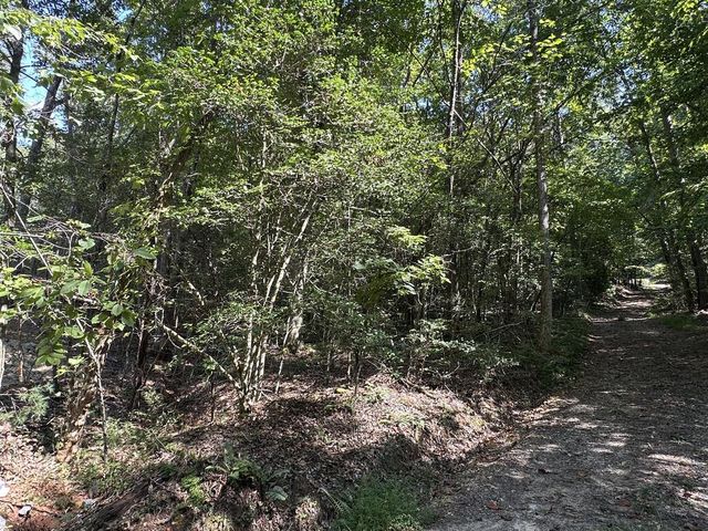 TBD Sawyer Ridge Lane, Hayesville, NC 28904