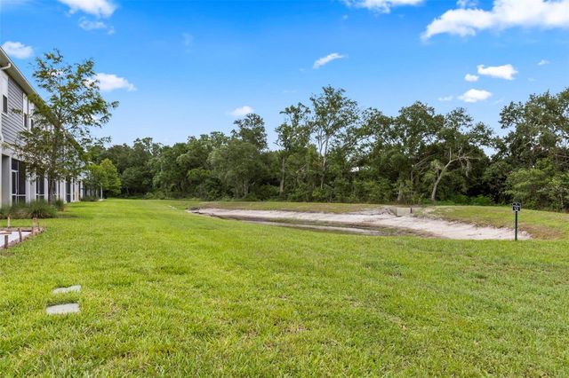 2872 GRAND KEMERTON PLACE, Tampa, FL 33618