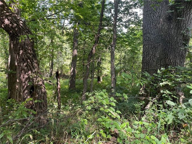 Y Highway, Oregon, MO 64473