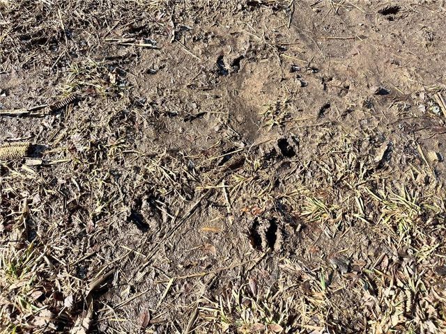 Y Highway, Oregon, MO 64473