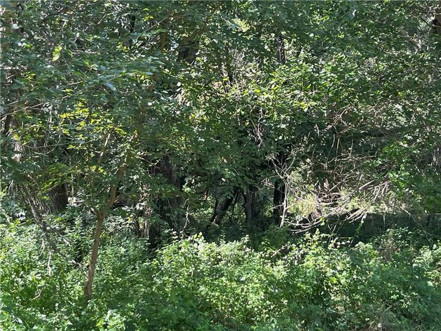 Y Highway, Oregon, MO 64473