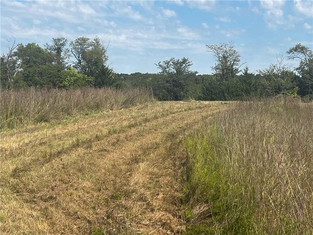 Y Highway, Oregon, MO 64473