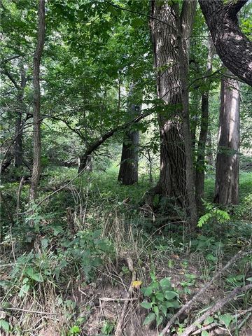 Y Highway, Oregon, MO 64473