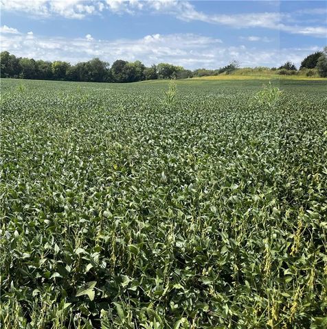 Y Highway, Oregon, MO 64473