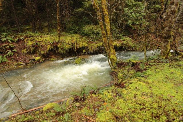 509 Marble Mountain Road, Grants Pass, OR 97527