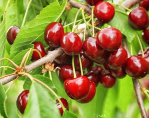 1441 Paso Real 300, Rowland Heights, CA 91748