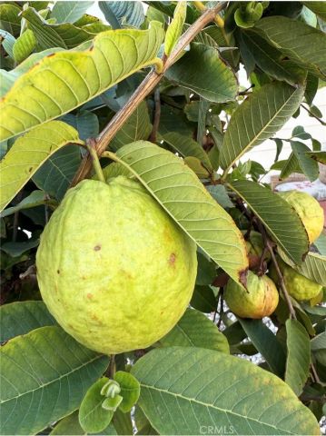 1441 Paso Real 300, Rowland Heights, CA 91748