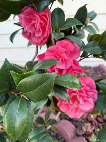 1441 Paso Real 300, Rowland Heights, CA 91748