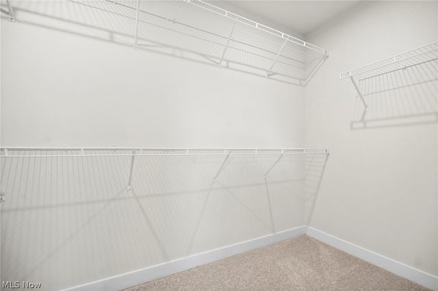 2032 Viewpointe Court, Columbia Station, OH 44028