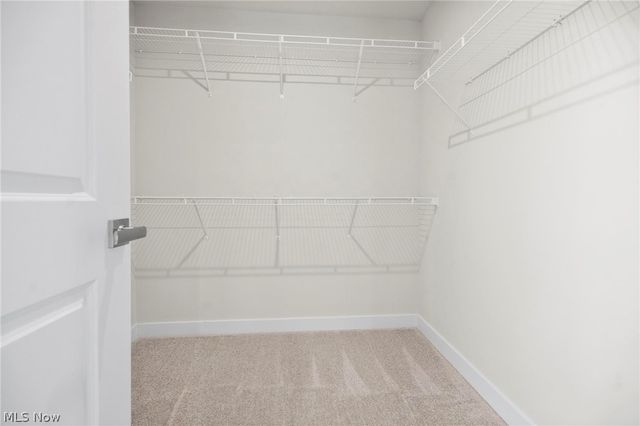 2032 Viewpointe Court, Columbia Station, OH 44028