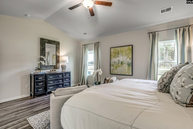 735 Clementine Run, Gilbert, SC 29054