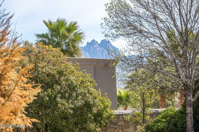 4280 Venetian Loop, Las Cruces, NM 88011