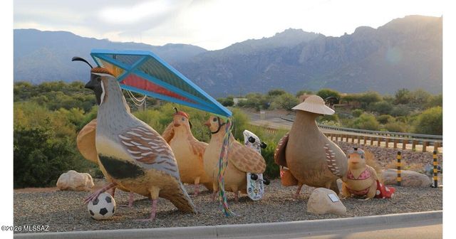 10875 N Poinsettia Drive, Tucson, AZ 85737