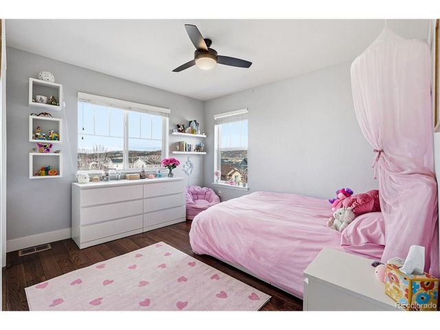 3728 Champagne Ave, Castle Rock, CO 80109