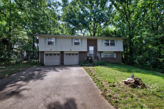 234 Tinker Bell Circle, Flintstone, GA 30725