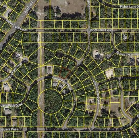 BLK 1261 LOT 16 SE FISHER LANE PLACE, Ocklawaha, FL 32179