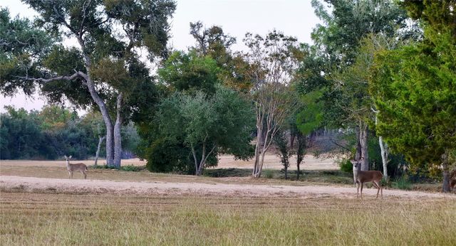 5801 Mount Gainor RD, Dripping Springs, TX 78620