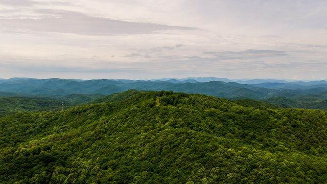 239 Glenn Elliott Road, Suches, GA 30572