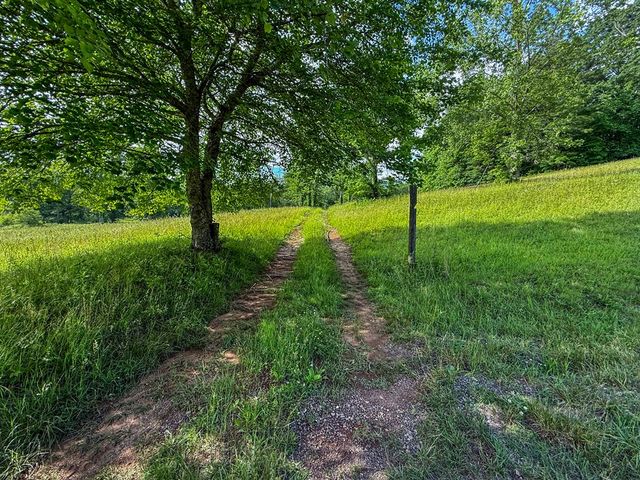 239 Glenn Elliott Road, Suches, GA 30572