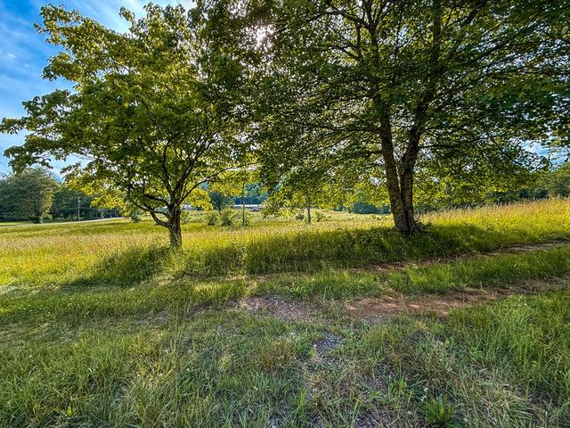 239 Glenn Elliott Road, Suches, GA 30572