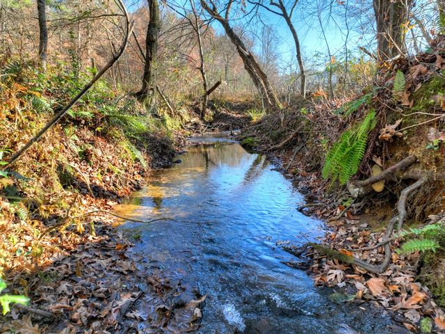 5491 Hardscrabble Road, Mineral Bluff, GA 30559