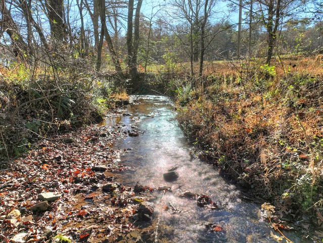 5491 Hardscrabble Road, Mineral Bluff, GA 30559