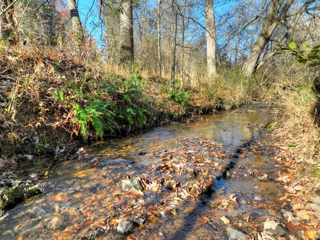 5491 Hardscrabble Road, Mineral Bluff, GA 30559