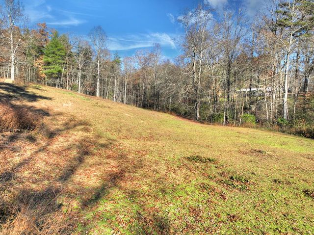 5491 Hardscrabble Road, Mineral Bluff, GA 30559