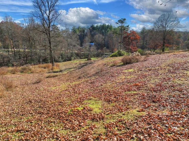 5491 Hardscrabble Road, Mineral Bluff, GA 30559