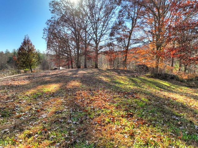 5491 Hardscrabble Road, Mineral Bluff, GA 30559