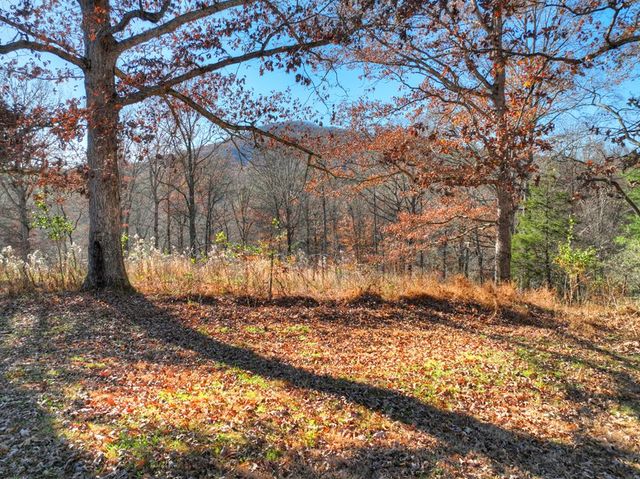 5491 Hardscrabble Road, Mineral Bluff, GA 30559