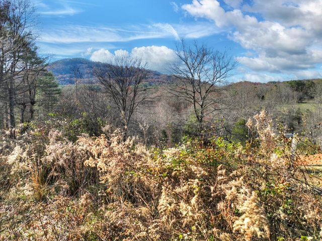 5491 Hardscrabble Road, Mineral Bluff, GA 30559