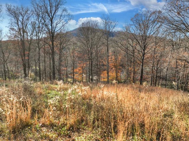 5491 Hardscrabble Road, Mineral Bluff, GA 30559