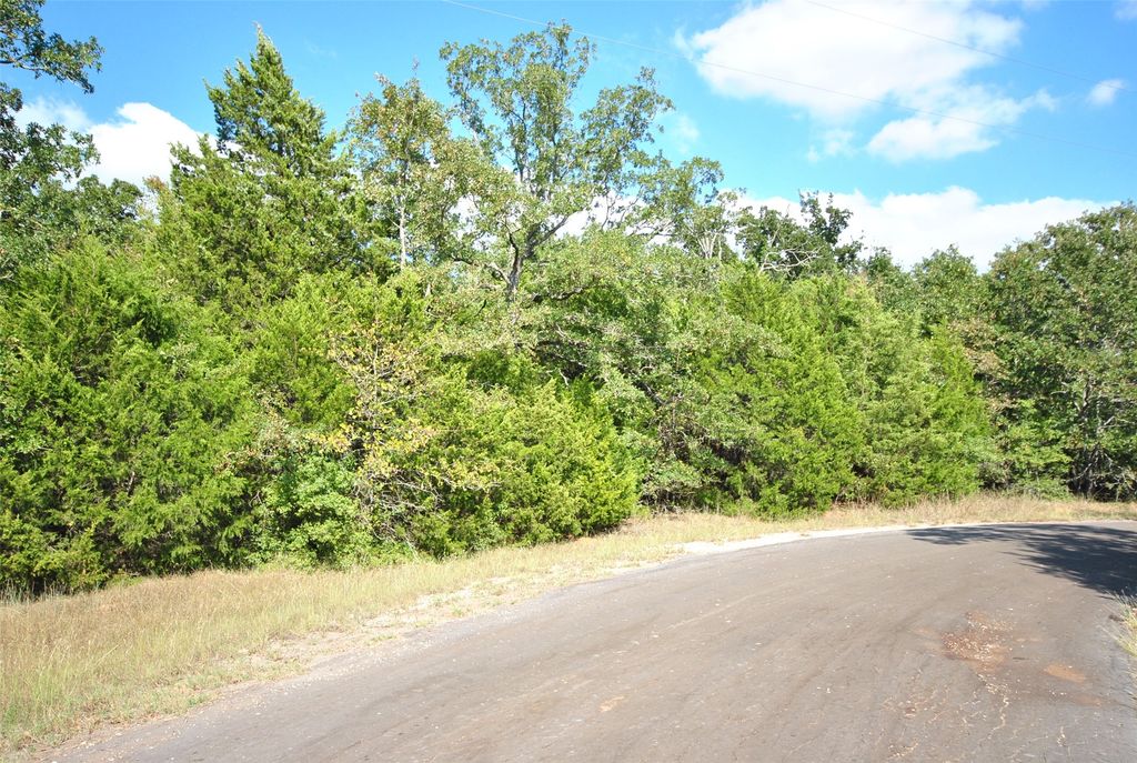 0 LOT 24 LCR 910 Drive, Jewett, TX 75846