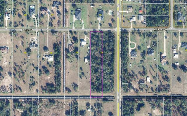 RALSTON STREET, Orlando, FL 32833