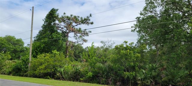 RALSTON STREET, Orlando, FL 32833