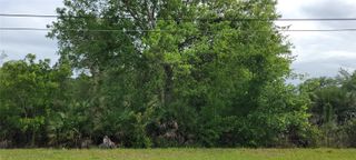 RALSTON STREET, Orlando, FL 32833