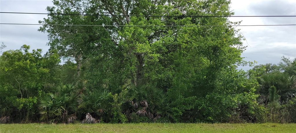 RALSTON STREET, Orlando, FL 32833