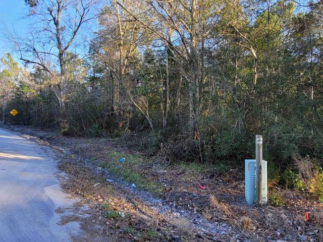 TBD Log Cabin Rd., Loris, SC 29569